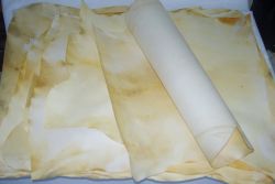 Piel pergamino cuero cabra