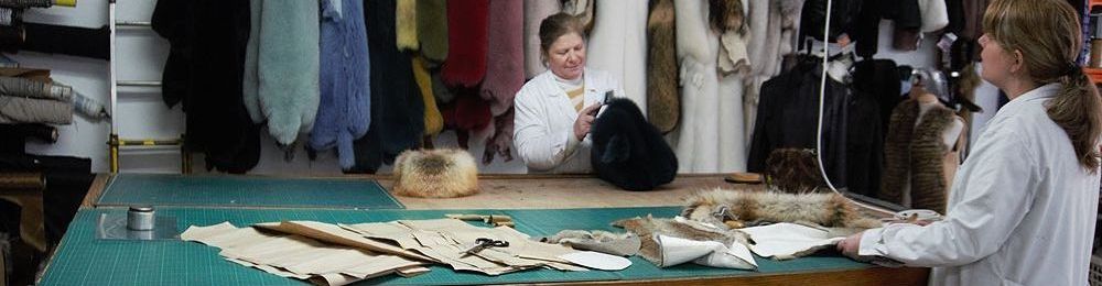 taller_web2 taller_web2