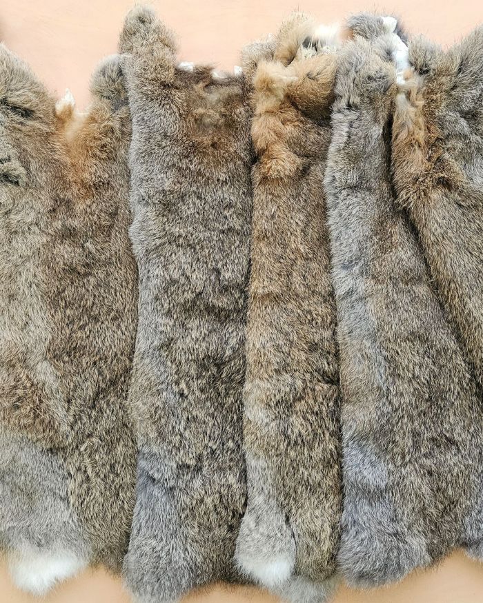 Piel conejo natural pardo