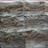 Banda de conejo pardo