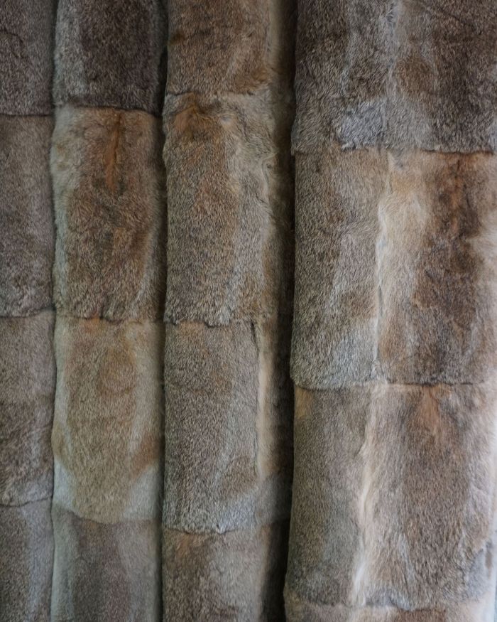 Banda de conejo pardo