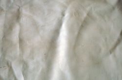 Cuero equino curtido