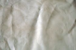 Cuero equino curtido