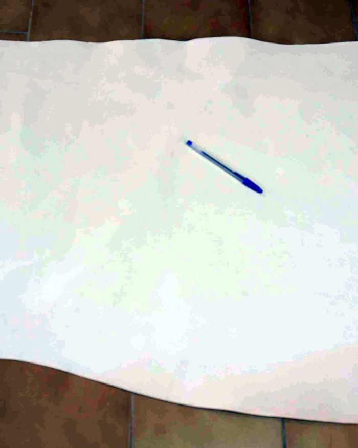 Cuero equino curtido vegetal