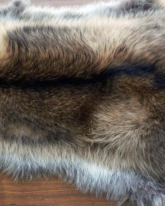 Piel de  mapache finnraccoon