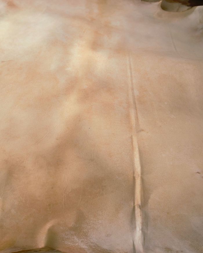 Piel pergamino crudo cabra