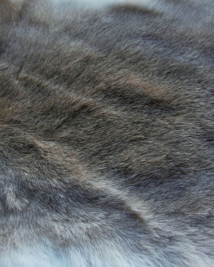 Piel conejo natural pardo